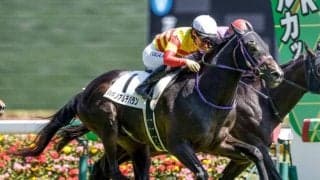 【AR共和国杯展望】ステップレースの格が鍵、3勝クラスからの刺客ハギノアルデバラン