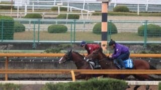 アドマイヤクワッズ、デイリー杯2歳S1週前追い切り速報/栗東トレセンニュース