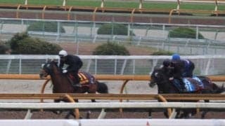 セキトバイースト、エリザベス女王杯1週前追い切り速報/栗東トレセンニュース