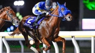 【船橋・平和賞結果】スマトラフレイバーが逃げ切って重賞初制覇