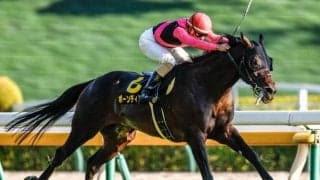 【AR共和国杯予想】明暗が分かれる脚質に注目 AIは穴馬を指名