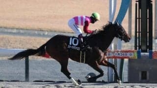【みやこS展望】データが後押しするスナークラファエロ、中心は4歳馬