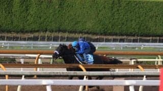 マジックサンズ、マイルCS2週前追い切り速報/栗東トレセンニュース