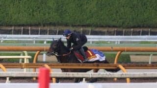 アドマイヤマツリ、エリザベス女王杯1週前追い切り速報/栗東トレセンニュース