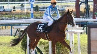 【京都JS出走馬・騎手確定】ディナースタ＆高田潤騎手、レッドバロッサ＆小牧加矢太騎手など10頭