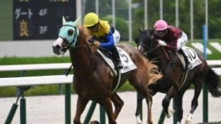 【京王杯2歳S出走馬・騎手確定】ダイヤモンドノット＆C.ルメール騎手、シャオママル＆A.プーシャン騎手など16頭