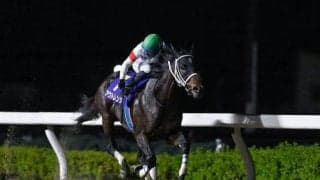 【みやこS出走馬・騎手確定】アウトレンジ＆松山弘平騎手、ダブルハートボンド＆坂井瑠星騎手など15頭