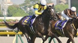 半姉は名牝ソウルスターリング シェーネエルデが武豊騎手でデビュー勝ちなるか