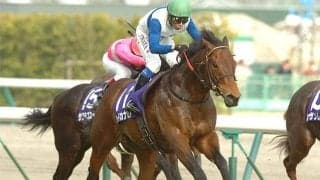 友道康夫厩舎の1.7億円馬 ビーチェマーレがデビュー勝ち狙う