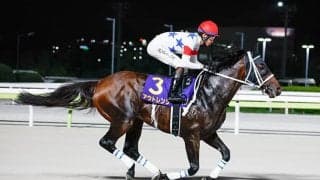 【みやこS枠順確定】アウトレンジは5枠9番、ダブルハートボンドは7枠12番