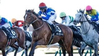 【AR共和国杯枠順確定】ホーエリートは6枠11番、スティンガーグラスは8枠18番