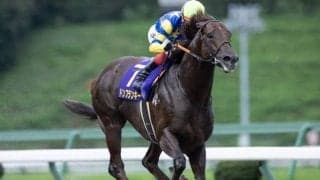 約600kgの馬体を誇るドンフランキーが登録抹消 優駿SSで種牡馬入りの予定