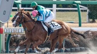 【京都JS枠順確定】ディナースタは8枠9番、レッドバロッサは2枠2番