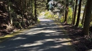 WRCジャパン：アクシデント発生のSS3、出走順後半のエントラントはオルタネートルートを走行