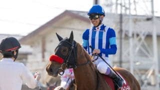 武豊騎手 今週の騎乗馬…土日京都で12鞍