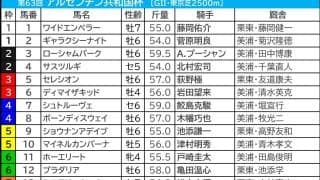 【アルゼンチン共和国杯／枠順】スティンガーグラスが入った“フルゲート大外”の成績は……伏兵が「0.3.1.5」該当で馬券内チャンス