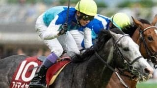 半兄は目黒記念覇者のアドマイヤテラ アドマイヤシュラがデビュー勝ちなるか