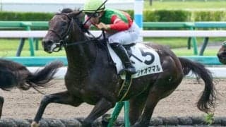 東京芝は決め手重視 切れ味抜群のシャオママルが狙い目