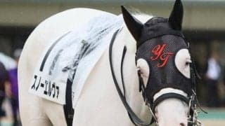 半兄はアオラキ 白毛のスノーエルヴァが2戦目で初勝利なるか