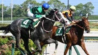 【デイリー杯2歳S想定馬・騎手】キャンディード、ストームサンダーなど12頭