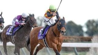 【武蔵野S想定馬・騎手】コスタノヴァ、オメガギネスなど18頭