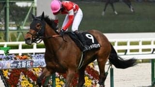 【京都JS予想】独特の「3段跳び」がポイント 15の障害が待ち受ける難コース