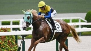 京王杯2歳S当日の東京芝は良 決め手の生きる馬場だ