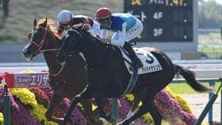 【京都5R新馬戦結果】エピファネイア産駒アドマイヤシュラが追い比べを制してV