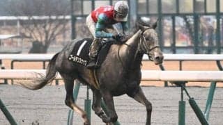 【豪・クイーンエリザベスS結果】ゴールデンスナップは3着と健闘