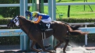 【みやこS予想】前走の好走は様々な面で恵まれたことが要因!? 過去の傾向からも強くは推せない人気馬