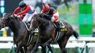 【AR共和国杯予想】前走からの距離短縮は大きなマイナス材料!? 条件にも不安を残す軽視すべき人気馬