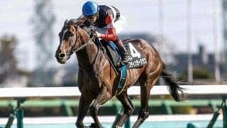 【AR共和国杯前日オッズ】スティンガーグラスが3.3倍で1番人気