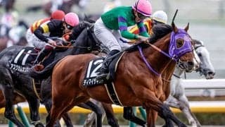 	【AI予想・AR共和国杯】今年は4歳馬が主役になる!? 重賞級のポテンシャルを秘める人工知能の本命馬