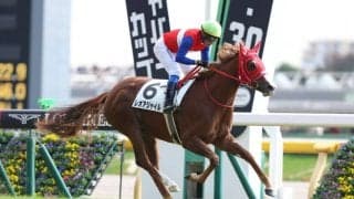 【新馬/東京6R】7番人気の伏兵レオアジャイルがデビュー勝ち