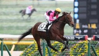 【新馬/東京5R】良血ラヴェニューがデビューV…セレクトセールで1億7000万円の価格