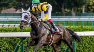 日曜の東京＆京都は道悪必至 トラックバイアスの変化に要注意