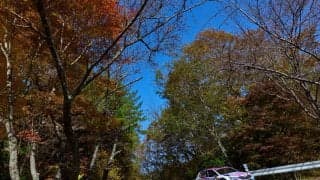 WRCジャパン：競技3日目を終えて、新井大輝はWRC2の6番手キープ。「ハンコックタイヤの理解はまだ4割くらい」