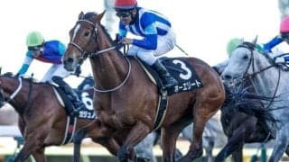 【今日の注目ポイント】AR共和国杯とみやこSの2重賞