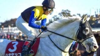 【AR共和国杯】複勝率86%の軸に最適な騎手とは？ 過去10年のデータを分析