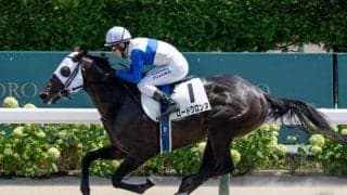 【みやこS予想】チャンピオンズCへの直行切符を手にする馬は