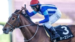 【AR共和国杯予想】タフさが要求されるコース 混戦模様のハンデ戦で一筋縄ではいかず