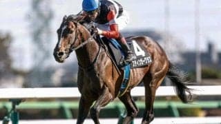 【AR共和国杯予想】傾向からレースの姿が見えてくる!? 過去データから探るGIIアルゼンチン共和国杯