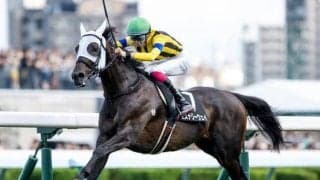 アルゼンチン共和国杯は道悪必至 ミステリーウェイの逃げ粘りがあるぞ