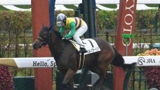 【京都4R新馬戦結果】ミスチヴィアスアレックス産駒ヒルノプーリアが逃げ切り快勝