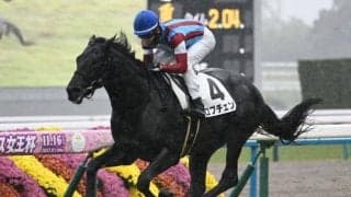 【京都5R新馬戦結果】ワールドプレミア産駒ロブチェンが3馬身差で完勝