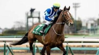 【AR共和国杯・馬体重】ホーエリートは482kg(+10)、スティンガーグラスは474kg(-8)