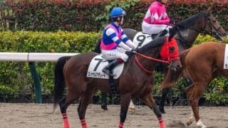 ロイヤルアデレードがデビュー戦で3着“ロイヤル”の名に恥じぬ末脚を披露…日曜劇場で話題