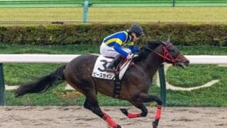 【新馬/東京6R】6番人気ピースサインがデビューV…断然人気ゲタリアは9着