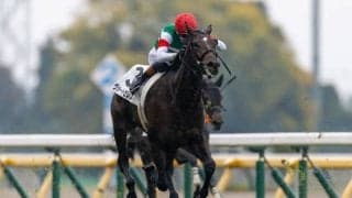 【新馬/東京5R】コントレイル産駒 ヴォートセレストがデビューV