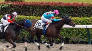 【東京2R】単勝1.4倍サンラザールが人気に応える